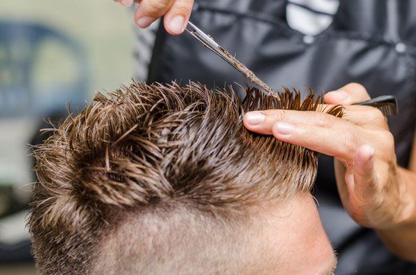 Haircut Safari Barbers Grayshott
